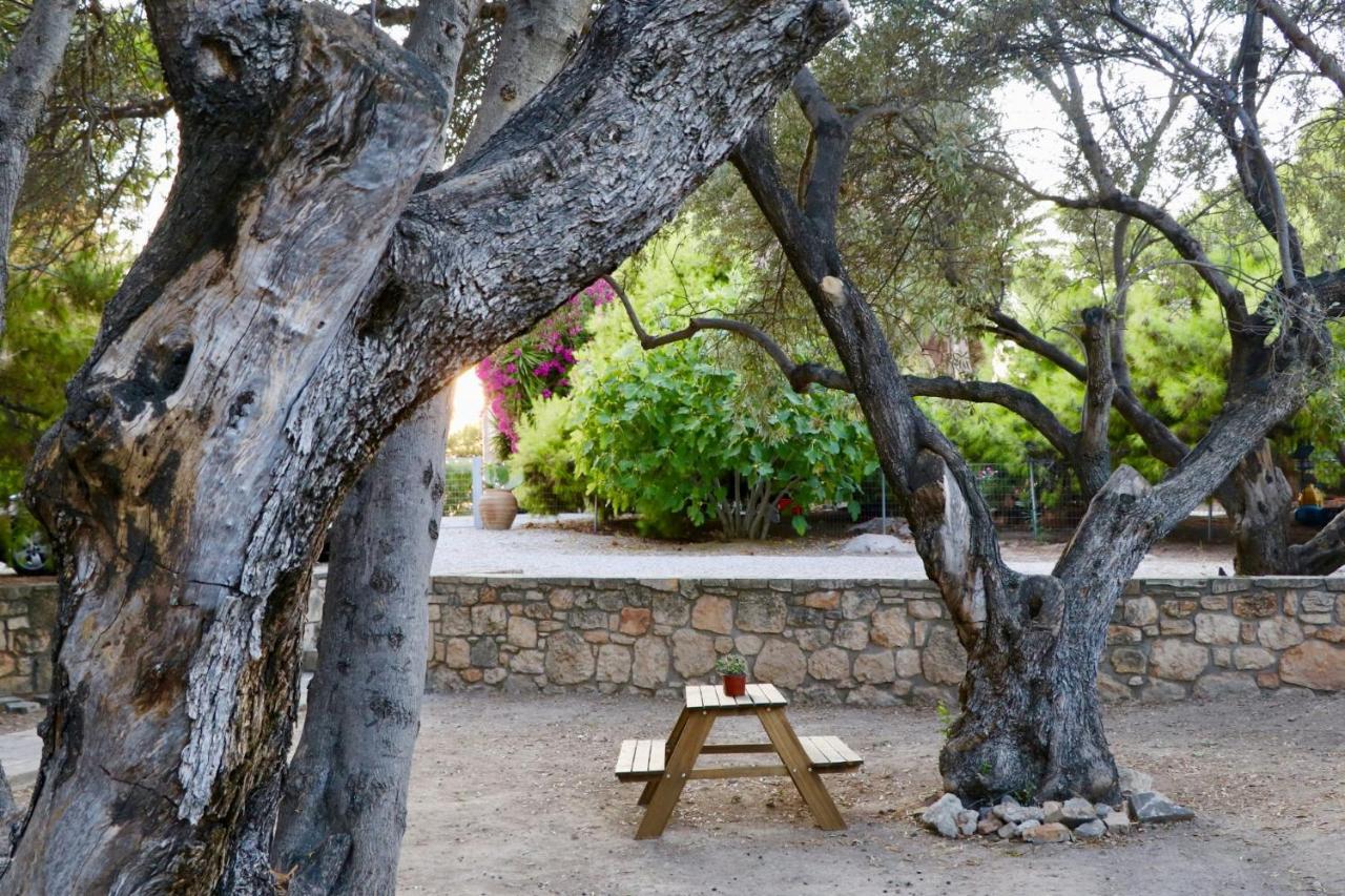 Pyrgos Ralli Estate Guesthouse Aegina Exterior photo